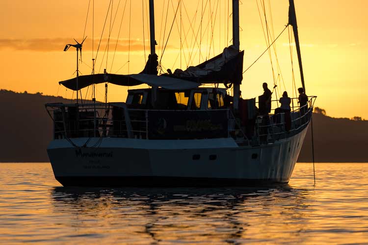 manawanui ocean research collective